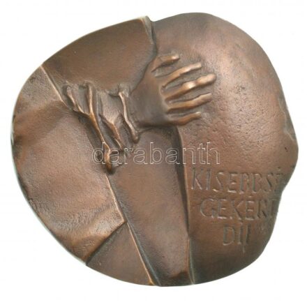 1995. 'Kisebbségekért díj' egyoldalas, öntött bronz plakett, eredeti bőr dísztokban (91x95mm) T:1-