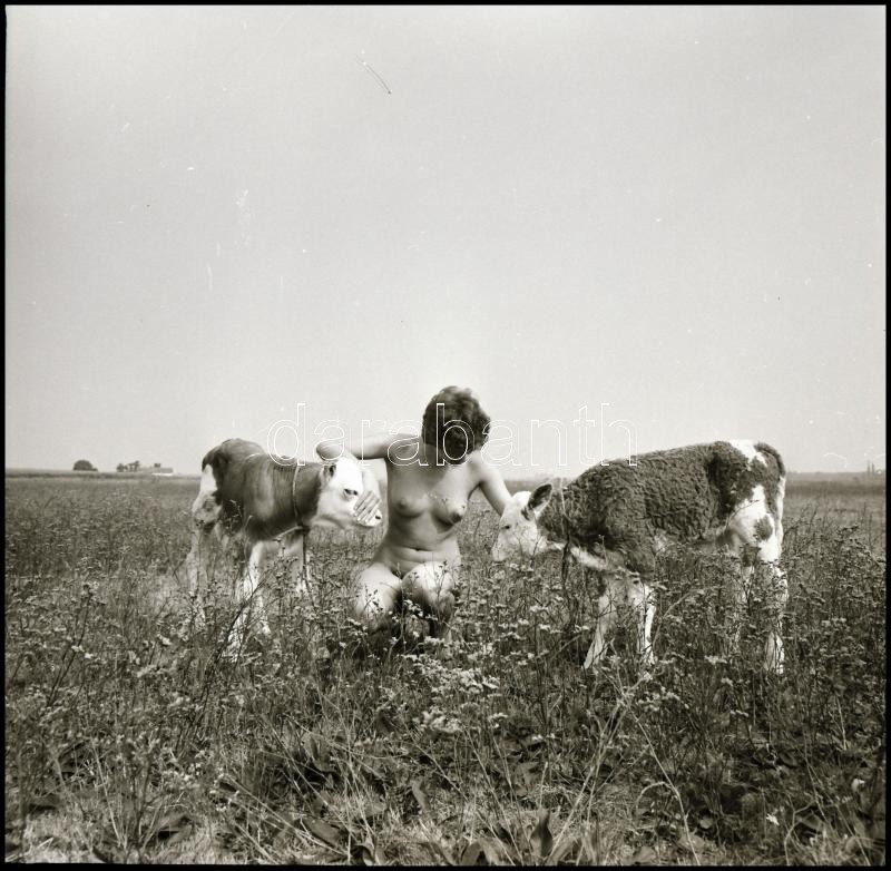cca 1991 előtt készült akt felvételek, Menesdorfer Lajos (1941-2005) budapesti fotóművész hagyatékából, 9 db vintage fotó és/vagy negatív, de a papírképek és a negatívok nem ismétlik egymást, 6x6 cm és 9,5x7 cm között - Image 2
