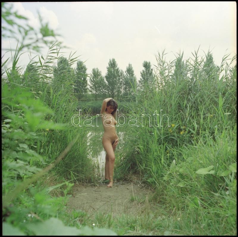 cca 1990 előtt készült akt felvételek, Menesdorfer Lajos (1941-2005) budapesti fotóművész hagyatékából, 13 db vintage fotó és/vagy negatív, de a papírképek és a negatívok nem ismétlik egymást, 6x6 cm és 7,5x10 cm között - Image 2