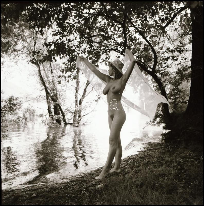 cca 1990 előtt készült akt felvételek, Menesdorfer Lajos (1941-2005) budapesti fotóművész hagyatékából, 13 db vintage fotó és/vagy negatív, de a papírképek és a negatívok nem ismétlik egymást, 6x6 cm és 7,5x10 cm között - Image 3