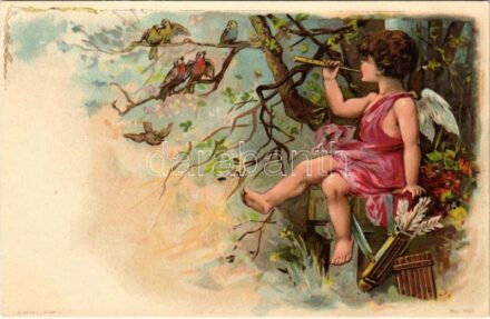 Cupid with birds. A. Sockl Wien litho