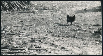 1964 Borbély Mihály ,,Vidéki udvar' című vintage fotóművészeti alkotása, feliratozva, 10,6x19,2 cm