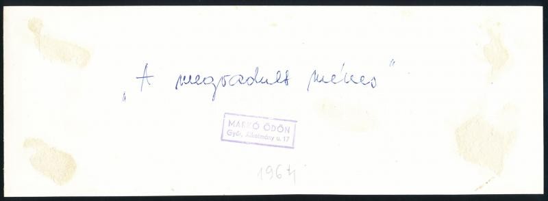 1964 Markó Ödön (1920-1984) győri fotóművész hagyatékából vintage fotóművészeti alkotás, pecséttel jelzett (A megvadult ménes), 8,6x24,1 cm - Image 2