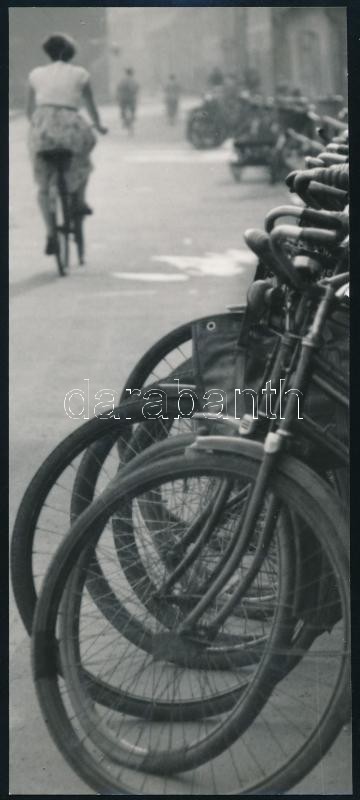 1973 Kriss Géza aláírt vintage fotója, 24x10,2 cm