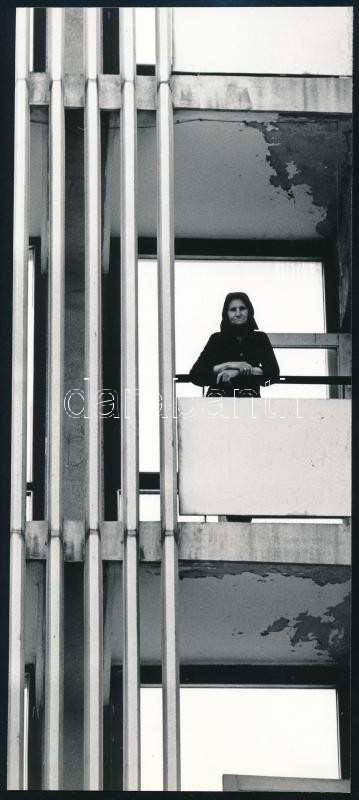 1970 Dunaújváros, Sellei Sarolta pécsi fotóművész feliratozott vintage fotóművészeti alkotása, 23,4x10 cm