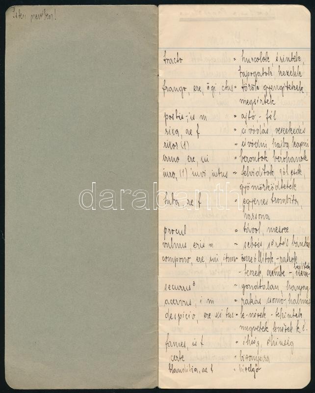 cca 1930 2 db iskolai latin szótárfüzet, bejegyzésekkel, az egyik irredenta borítóval - Image 2