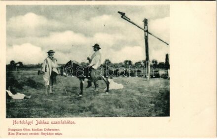 Hortobágy, Juhász szamárháton. Pongrácz Géza kiadása Kiss Ferenc eredeti fényképe után