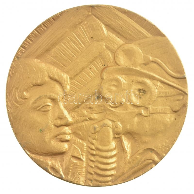 DN '20 éves bányászmentő szolgálatért' kétoldalas, aranyozott fém érdemérem (70mm) T:2 - Image 2
