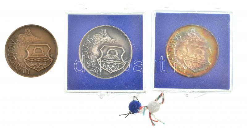 DN 'Salgótarján' Br, ezüstpatinázott Br és jelzett Ag emlékérem (3xklf), 2db plombált ÁPV tokban (~24g/0.835/32mm) T:1- patina