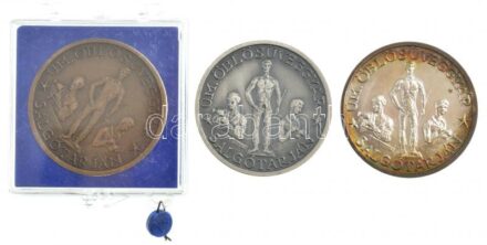 DN 'ÜM. Öblösüveggyár Salgótarján / Kossuth Művelődési Ház 1906-1981' Br, ezüstpatinázott Br és jelzett Ag emlékérem (3xklf), 1db plombált ÁPV tokban (33,21g/0.835/38mm) T:1- patina