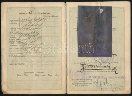 1923 Magyar Királyság által kiállított útlevél elfeketedett fotóval, német, osztrák, M. Kir. Folyamőrség bélyegzőkkel / Hungarian passport
