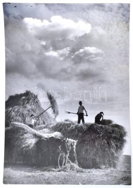 Szendrő István: Rakják az asztagot fotó 24x18 cm