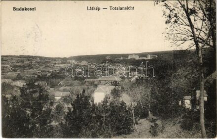 1914 Budakeszi, látkép. Krellwitz M. A. kiadása + 'K.k. 1/94. Landsturmkompagnie'