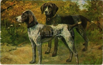 Vadászkutyák / Hunting dogs. (EK)