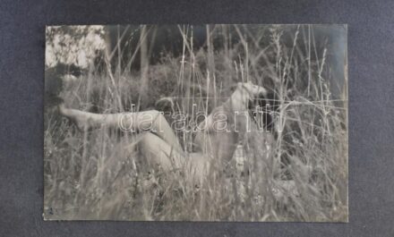 cca 1950 37 darabos művészi, finoman erotikus akt fotó sorozat egy hölgyről különböző díszletek és beállításokkal. Egy albumban. 9x14 cm