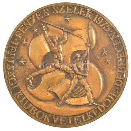 Gömbös László (1926-2010) 1975. 'Fényes Szelek Ifjúsági Klubok Vetélkedője - Debrecen 1975' egyoldalas, öntött bronz plakett (150mm) T:1-