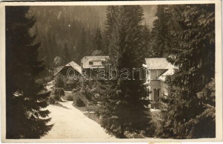 1927 Körmöcbánya, Kremnitz, Kremnica; nyaralók / villas. photo