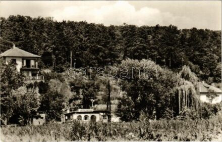 1966 Káptalanfüred (Balatonalmádi), látkép, vasútállomás. Képzőművészeti Alap Kiadóvállalat