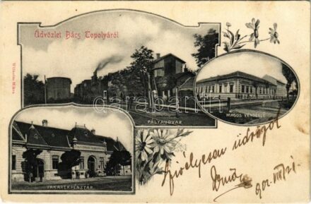 1902 Topolya, Bácstopolya, Backa Topola; Pályaudvar, vasútállomás, vonat, gőzmozdony, Takarékpénztár, Magos vendéglő. Wilheim Miksa kiadása / railway station, train, locomotive, savings bank, restaurant. Art Nouveau, floral (EB)