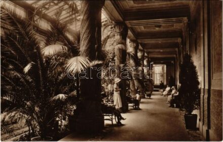 Budapest XI. A Szent Gellért fürdő és szálloda pálmacsarnoka, belső. Photo Erdélyi