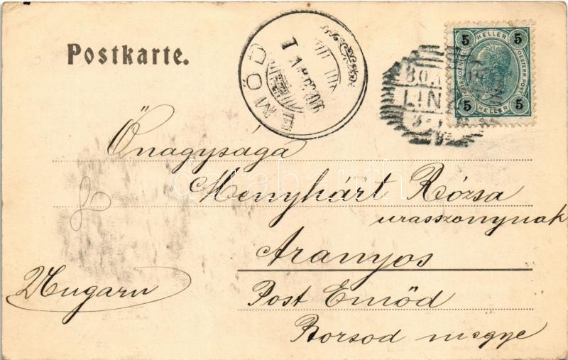 1900 Linz, Landungsplatz / port - Image 2