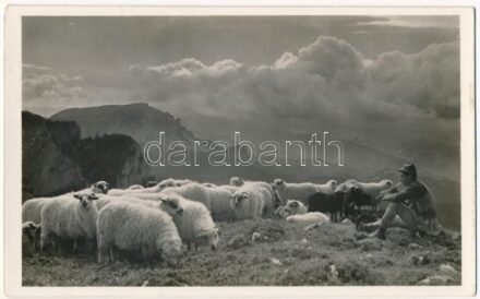 Csíki-havasok, Muntii Ciucului; Csángó pásztor. Andory Aladics Zoltán mérnök felvétele / Transylvanian folklore, shepherd