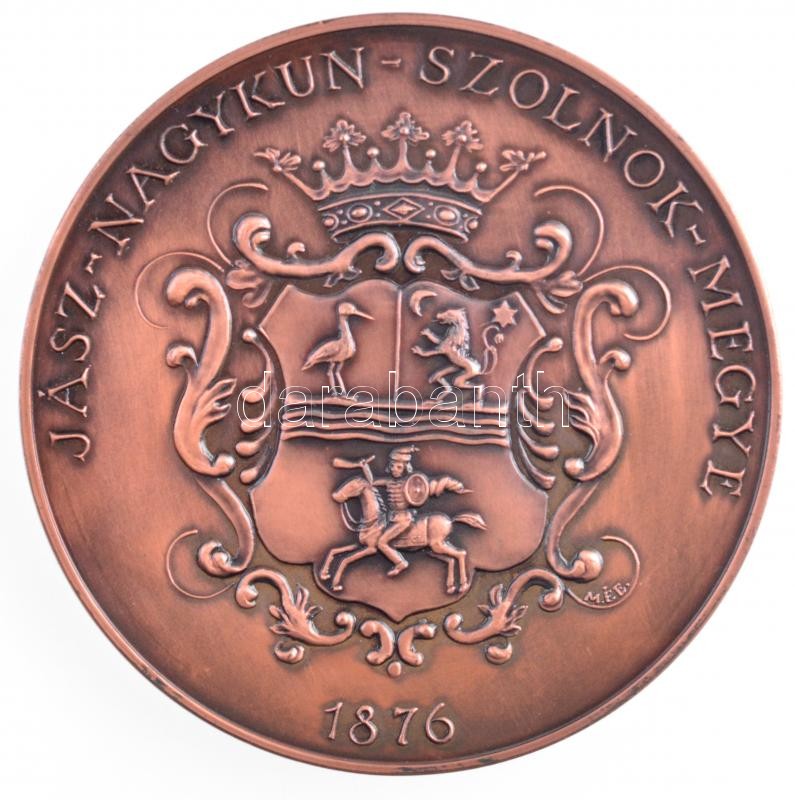 DN 'Jász-Nagykun-Szolnok-Megye 1876' Br plakett, hátoldalán a megyeszékházzal, M.É.E. (Magyar Éremgyűjtők Egyesülete) beütéssel (60mm) T:1 kis ph