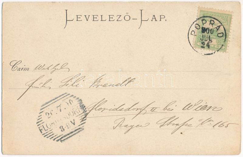 1900 Tátra, Magas Tátra, Vysoké Tatry; Csorbai állomás, fogaskerekű vasút, vonat / cogwheel railway station near Strbské pleso, train - Image 2