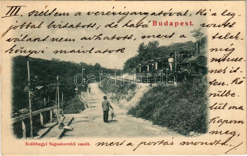 Budapest XII. Svábhegy, Fogaskerekű vasút gőzmozdonya