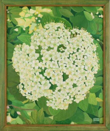 Nagyszalóki András (?-): Virágözön. Olaj, karton. Jelzett. Fa keretben. 64x53 cm