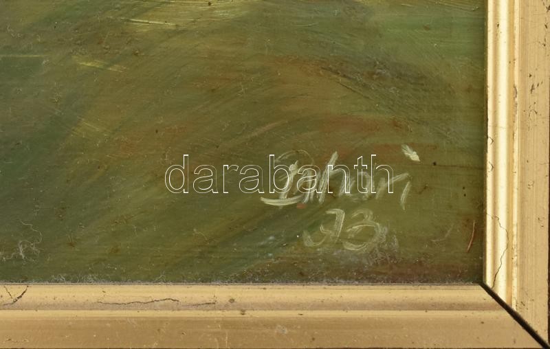 Olvashatatlan jelzéssel: Hazafelé. Olaj, farost. Dekoratív fa keretben, 30×42 cm - Image 2