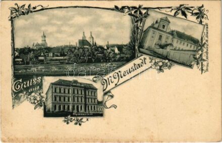 Wiener Neustadt, Bécsújhely; Gymnasium, Klosterkirche / general view, grammar school, church. Art Nouveau, floral (EK)