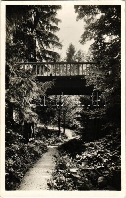 1943 Kolozsvár, Cluj; Botanikus kert / botanical garden