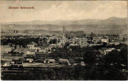 Belényes, Beius; látkép / general view (r)