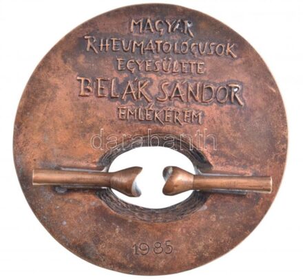 1985. 'Magyar Rheumatológusok Egyesülete Belák Sándor emlékérem / Pro Rheumatologia' kétoldalas, öntött bronz emlékérem (111,5mm) T:2