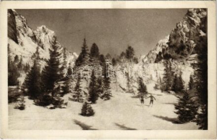Tátra, Magas-Tátra, Vysoké Tatry; Menguszfalv-völgy, síelők. Schmidt G. kiadása / Mengsdorfer Tal in der Hohen Tatra / valley, skiers, winter sport (EK)