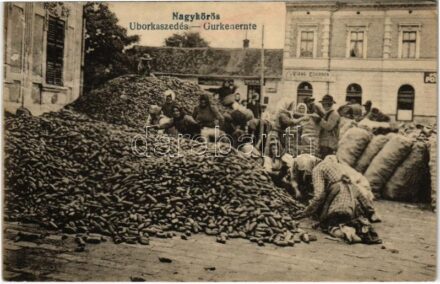 1929 Nagykőrös, Uborkaszedés, piac, virágcsarnok, üzletek. Geszner Jenő kiadása (Rb)