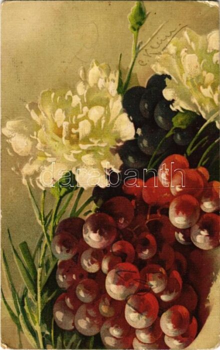 1917 Still life art postcard with fruit and flower. G.O.M. 2423. s: C. Klein (lyuk / pinhole)