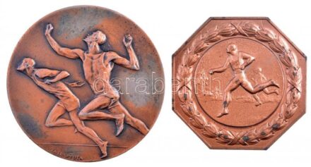 1960. 'Dózsa 1960. nov. 7.' + Gáll Gyula 1968. 'Felnőtt ffi egyéni bajnok III.', mindkettő bronzpatinázott Zn díjérem (59mm, 70mm) T:2
