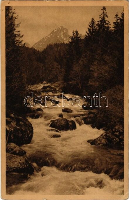1929 Tátra, Magas-Tátra, Vysoké Tatry; Studená voda a Prostredni hreben / mountain river (EK)