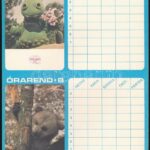 cca 1985 Álmodik az állatkert, kisplakát / órarend (kitöltetlen), MOKÉP-MTI Fotó, 24x16,5 cm - Image 2