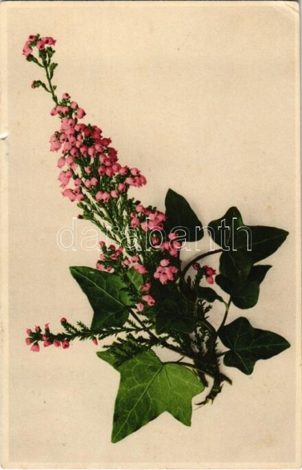 Flowers (b)