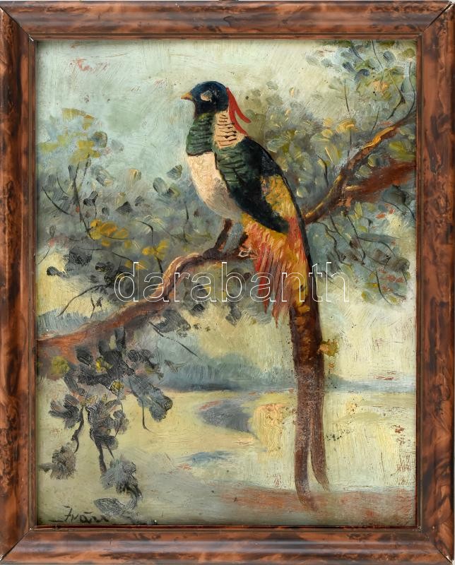 Iván jelzéssel: Madár (fácán?). Olaj, karton. Dekoratív fa keretben. 24,5x19,5 cm