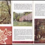 1968-1970 Sárköz. Gemenc. Szekszárd, Tolna m. Idegenforgalmi Hivatal,(Gyoma, Kner-ny.) Színes fotókkal, térképpel. Idegenforgalmi prospektus. - Image 2