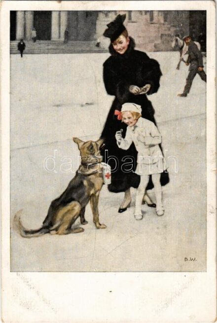 1917 Fürs Rote Kreuz. Kriegspostkarten von B. Wennerberg Nr. 17. / WWI German military art postcard, Red Cross charity collecting dog s: B.W. + 'K.u.K. 3. Regiment der Tiroler Kaiserjäger 4. Feldbaon' (kis szakadás / small tear)