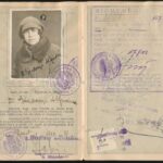 1921 Bp., a Magyar Királyság által kiállított fényképes útlevél, osztrák vízummal