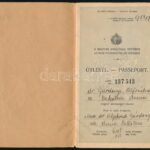 1921 Bp., a Magyar Királyság által kiállított fényképes útlevél, osztrák vízummal - Image 2