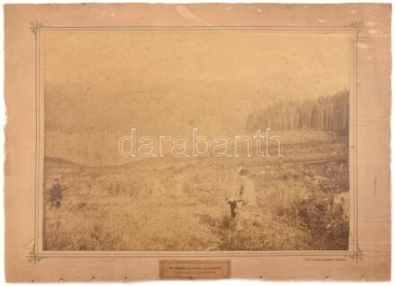 cca 1900 Besztercebánya, mezőgazdasági köztes használatok, kartonra kasírozott fotó, Klösz Budapesten sérült karton, 36,5×48 cm