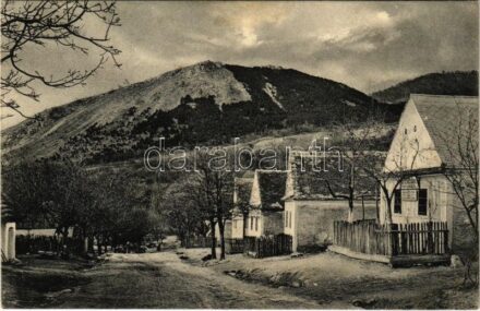 1939 Detrekőváralja, Plavecké Podhradie; utca, üzlet, vár. A. Wiesner kiadása / street view, shop, castle ruins (Rb)