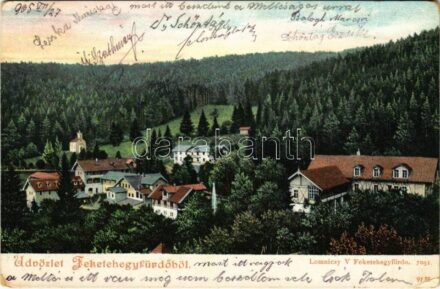 1905 Feketehegyfürdő, Feketehegy, Cernohorské kúpele (Merény, Vondrisel, Nálepkovo); látkép. Lomniczy V. kiadása / general view (kopott sarkak / worn corners)